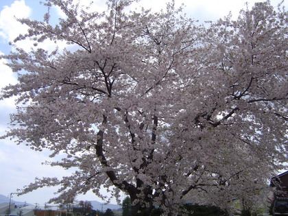 20080508-00.jpg