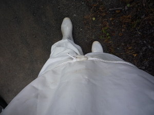 20090827-05.jpg