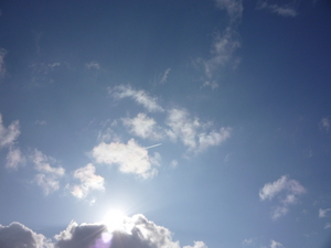 20100223-01.jpg