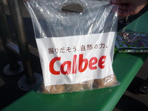 20100927-05.jpg