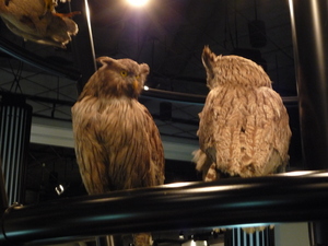 20111028-06.jpg