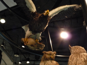 20111028-07.jpg