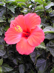 20070228-01.jpg