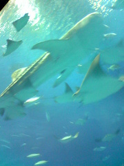 20070228-02.jpg