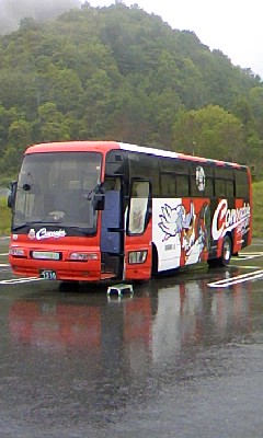 080525_0807~01.jpg