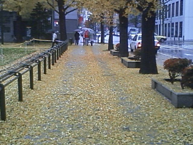 CA3E0094.jpg