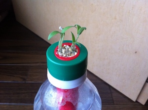 20120518-00.JPG