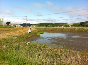 20120603-00.JPG