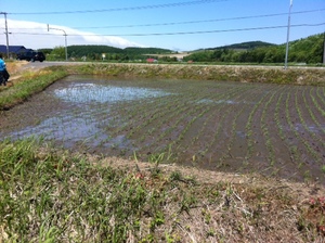 20120603-02.JPG