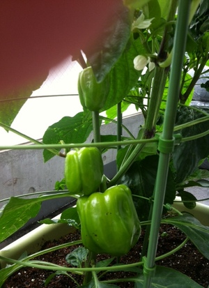 20120723-00.jpg