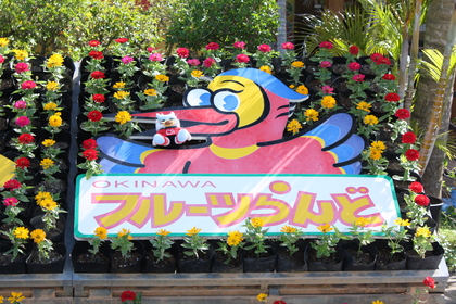 20090508-10.JPG