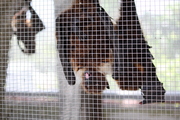 20090513-06.JPG