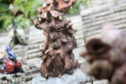 20090513-08.JPG