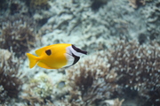 20090513-11.JPG