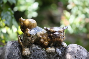 20090513-16.JPG