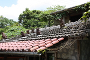 20090513-17.JPG