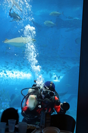20090513-18.JPG