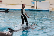 20090513-19.JPG