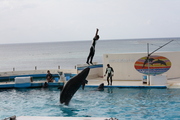 20090513-20.JPG