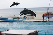 20090513-21.JPG