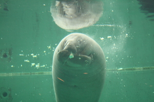 20090513-22.JPG