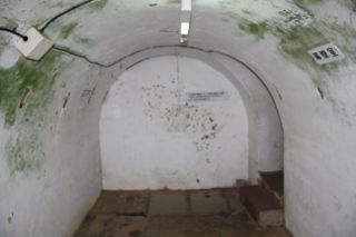 20090809-01.jpg