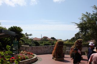 20090809-02.jpg