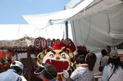 20090809-04.jpg