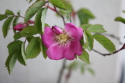 20100720-01.JPG