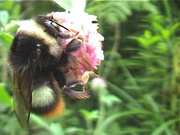 20070527-00.jpg