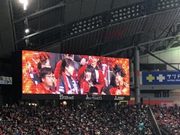 1523459298-IMG_8782-300x225.jpg