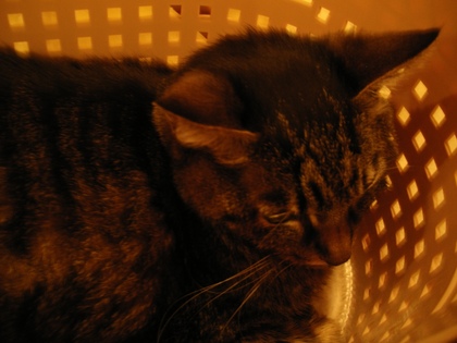 20070606-02.JPG