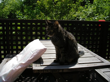 20070608-02.JPG