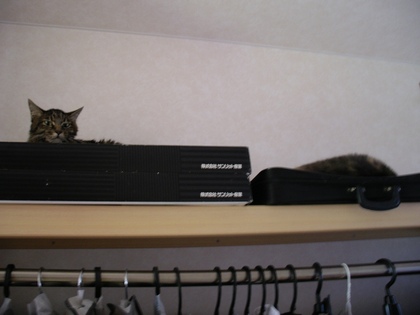 20070608-03.JPG