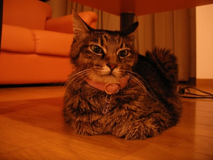 20070610-01.JPG