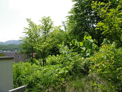 20070614-00.JPG
