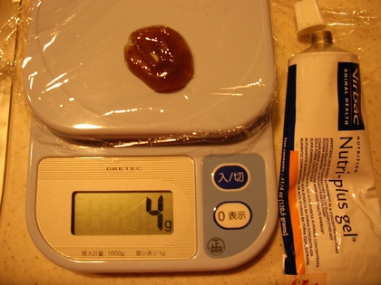 20070618-01.JPG