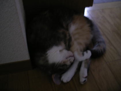 20070619-03.JPG