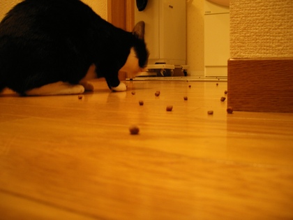20070626-00.JPG
