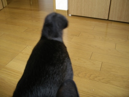 20070628-03.JPG