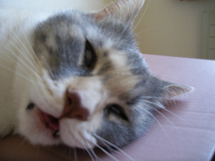 20070714-01.JPG