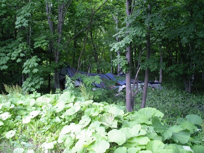 20070716-00.JPG