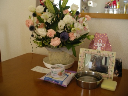 20070728-01.JPG