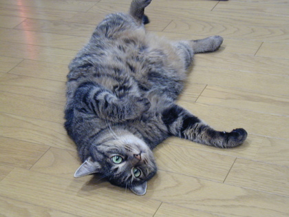 20070912-00.JPG