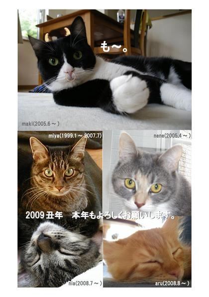 20090102-00.JPG