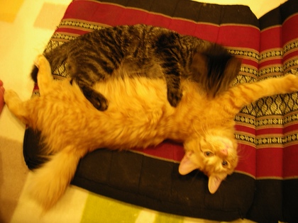 20090112-00.JPG
