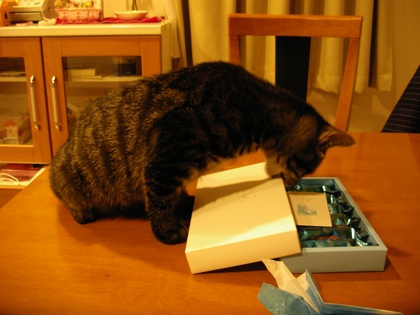 20090113-00.JPG