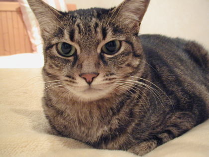 20090114-01.JPG