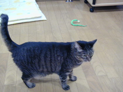 20090115-00.JPG