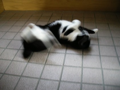 20090119-00.JPG